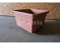 Plantenset - afbeelding 4 van  9
