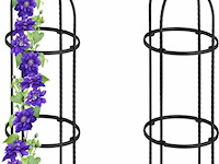 Plantensteun klimplanten - afbeelding 1 van  7