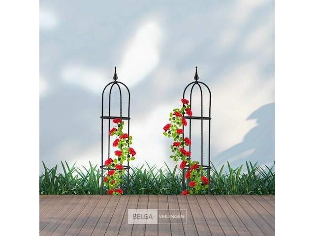 Plantensteun klimplanten - afbeelding 7 van  7