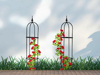 Plantensteun klimplanten - afbeelding 7 van  7