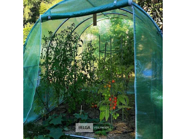 Plantensteun - afbeelding 4 van  5