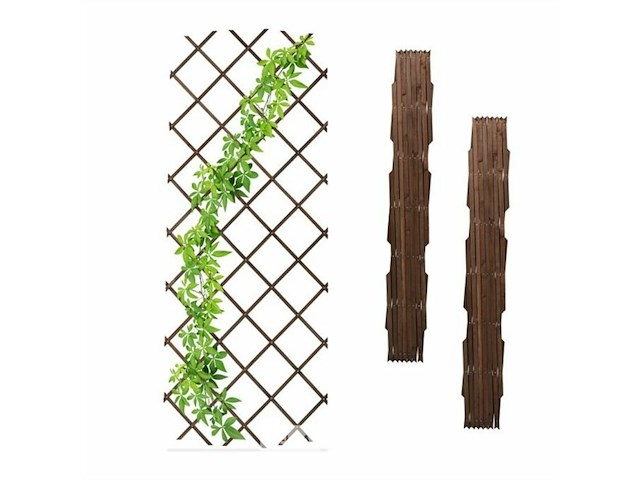 Plantensteun - afbeelding 2 van  4