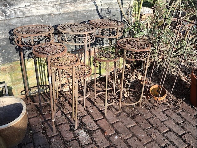 Plantentaanders (plm5) - afbeelding 1 van  3