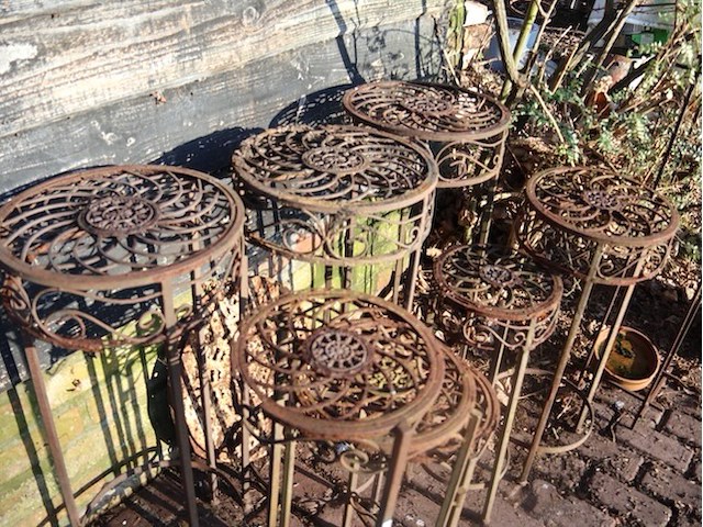 Plantentaanders (plm5) - afbeelding 2 van  3