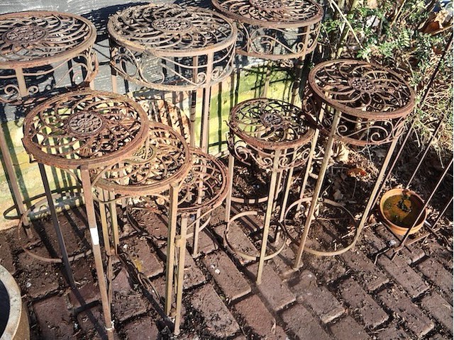 Plantentaanders (plm5) - afbeelding 3 van  3