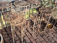 Plantentaanders (plm5) - afbeelding 3 van  3