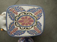 Plantentafel kameel - afbeelding 6 van  6