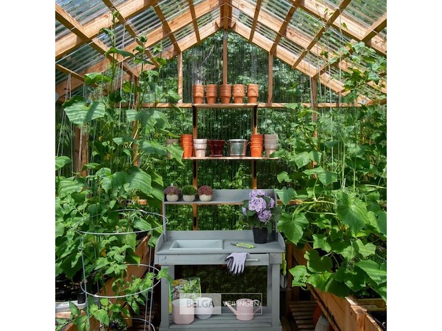 Plantentafel/trolley - afbeelding 2 van  7