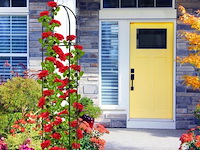 Plantenzuil - afbeelding 2 van  7