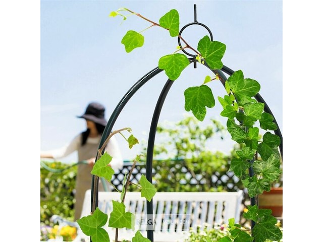 Plantenzuil - afbeelding 3 van  7