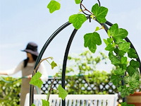 Plantenzuil - afbeelding 3 van  7