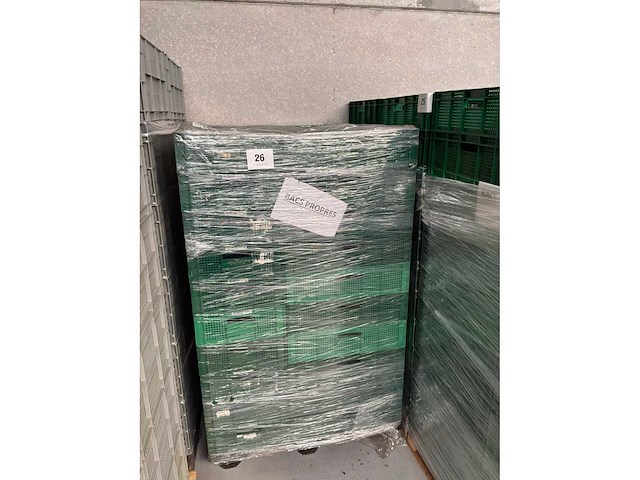 Plastiek bakken (50x) - afbeelding 1 van  4