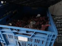 Plastieken bakken met allerhande kerst en paasdecoratie + bloempotten - afbeelding 4 van  6