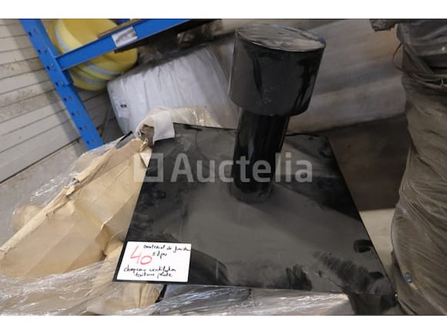 Platte dakkappen - afbeelding 4 van  5