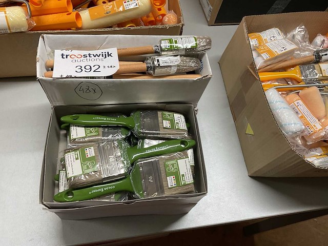 Platte verfborstels; patentpuntkwasten voor houtbescherming (48x) - afbeelding 1 van  7