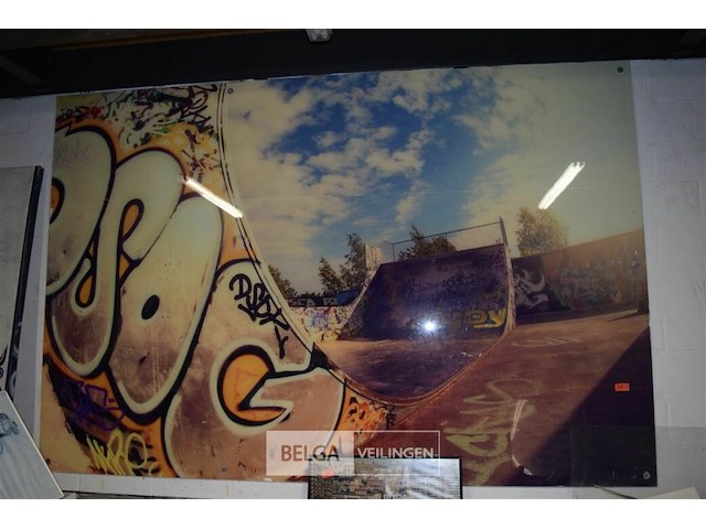 Plexiglas afbeelding skate park 300x200cm - afbeelding 1 van  4