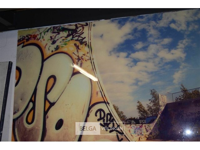 Plexiglas afbeelding skate park 300x200cm - afbeelding 2 van  4