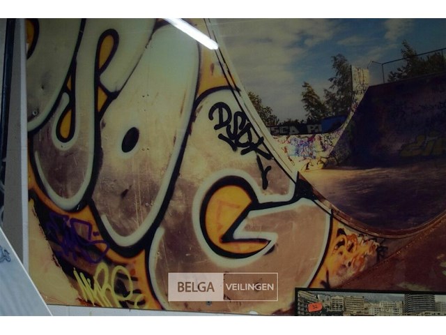 Plexiglas afbeelding skate park 300x200cm - afbeelding 4 van  4