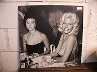 Plexy marilyn monroe