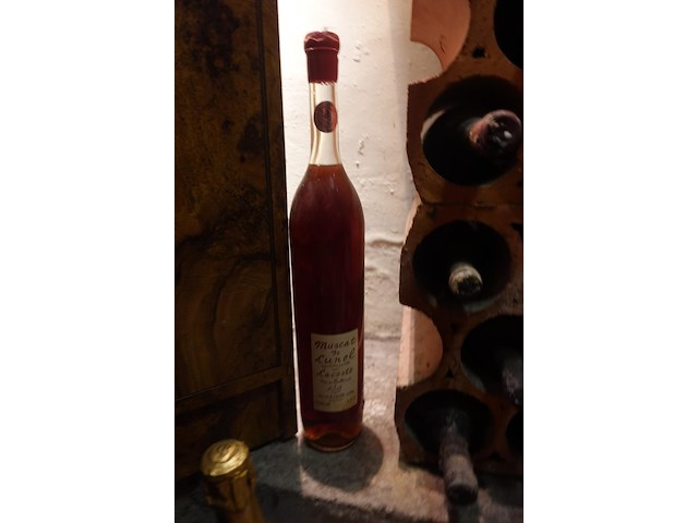 Plm 25x diverse oude wijnen - afbeelding 4 van  13