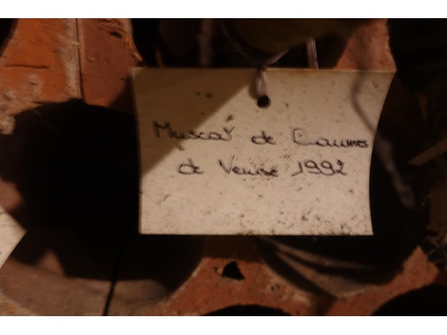 Plm 60x diverse oude wijnen - afbeelding 10 van  12