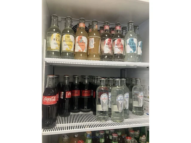 Plm 73 bakken leeggoed en lege bakken waaronder coca cola, chaudfontaine, van roy, enzovoort - afbeelding 5 van  15