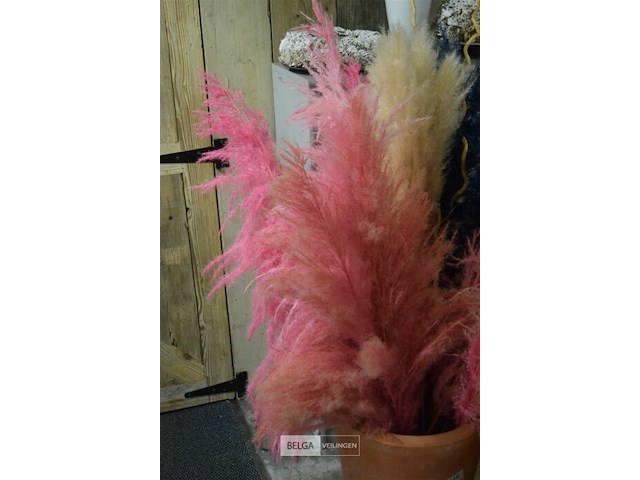 Plushes decoratie met aardevaas - afbeelding 4 van  4