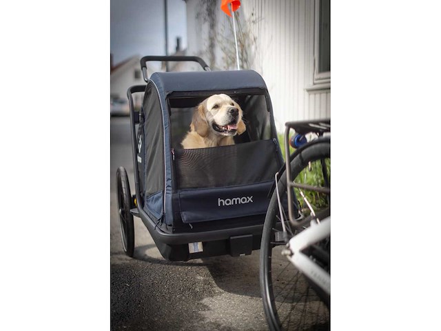 Pluto l dog trailer met verstelbare ophanging en opvouwbaar chassis - hamax - afbeelding 1 van  17