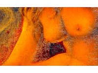 Pol liard - naakt in de rode stad - olie op paneel - 90x70 cm - afbeelding 8 van  9