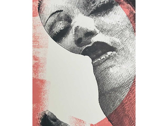 Pol mara - kleurenzeefdruk - afbeelding 1 van  8