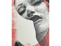 Pol mara - kleurenzeefdruk - afbeelding 1 van  8