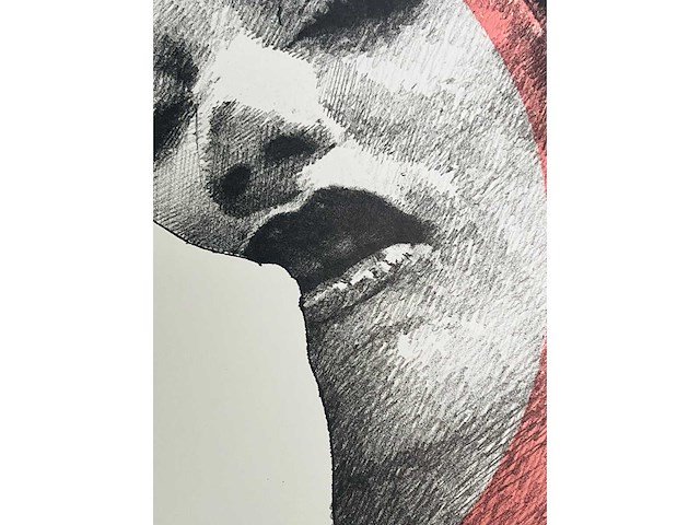 Pol mara - kleurenzeefdruk - afbeelding 2 van  8