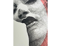 Pol mara - kleurenzeefdruk - afbeelding 2 van  8