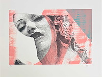 Pol mara - kleurenzeefdruk - afbeelding 3 van  8