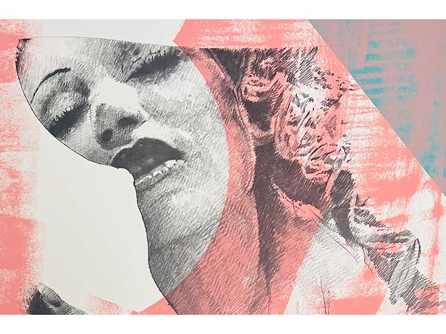 Pol mara - kleurenzeefdruk - afbeelding 4 van  8