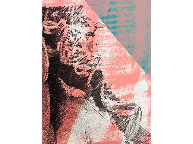 Pol mara - kleurenzeefdruk - afbeelding 5 van  8