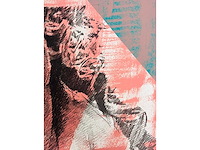 Pol mara - kleurenzeefdruk - afbeelding 5 van  8