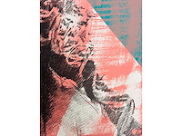 Pol mara - kleurenzeefdruk - afbeelding 6 van  8