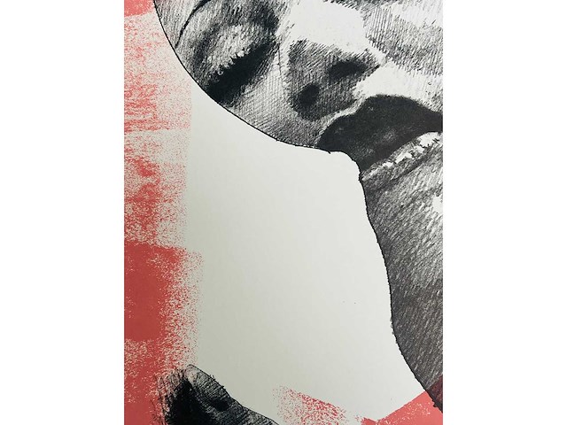 Pol mara - kleurenzeefdruk - afbeelding 7 van  8