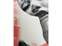 Pol mara - kleurenzeefdruk - afbeelding 7 van  8