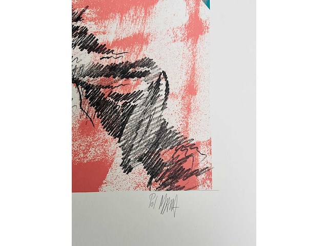 Pol mara - kleurenzeefdruk - afbeelding 8 van  8