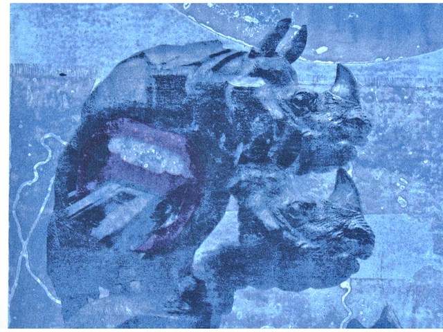 Pol mara - zeefdruk - 1/130 - afbeelding 5 van  7