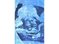 Pol mara - zeefdruk - 1/130 - afbeelding 6 van  7