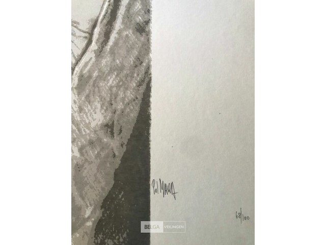 Pol mara - afbeelding 2 van  3