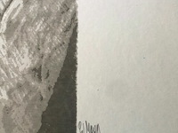 Pol mara - afbeelding 2 van  3