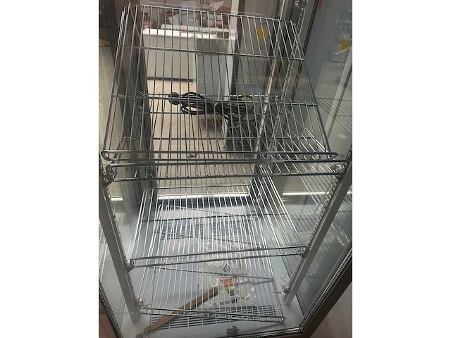 Polar - gd881 - gebakvitrine - afbeelding 4 van  5
