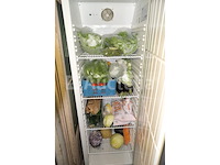 Polar refrigeration verticale koelkast cd612-e - afbeelding 3 van  7