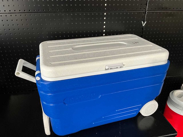 Polarcooler - koelbox 62cm - afbeelding 1 van  1