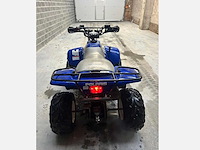 Polaris trail boss 330 quad polaris trail boss 330 - afbeelding 4 van  9