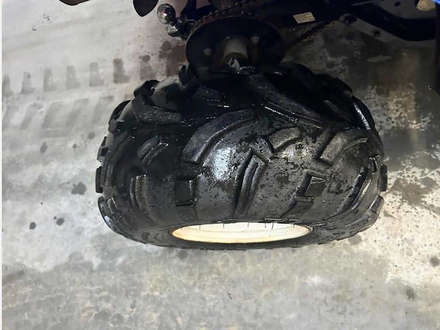 Polaris trail boss 330 quad polaris trail boss 330 - afbeelding 9 van  9